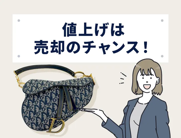 2026年最新】3/4ディオール値上げ！昔は安かった？バッグ価格の変遷も